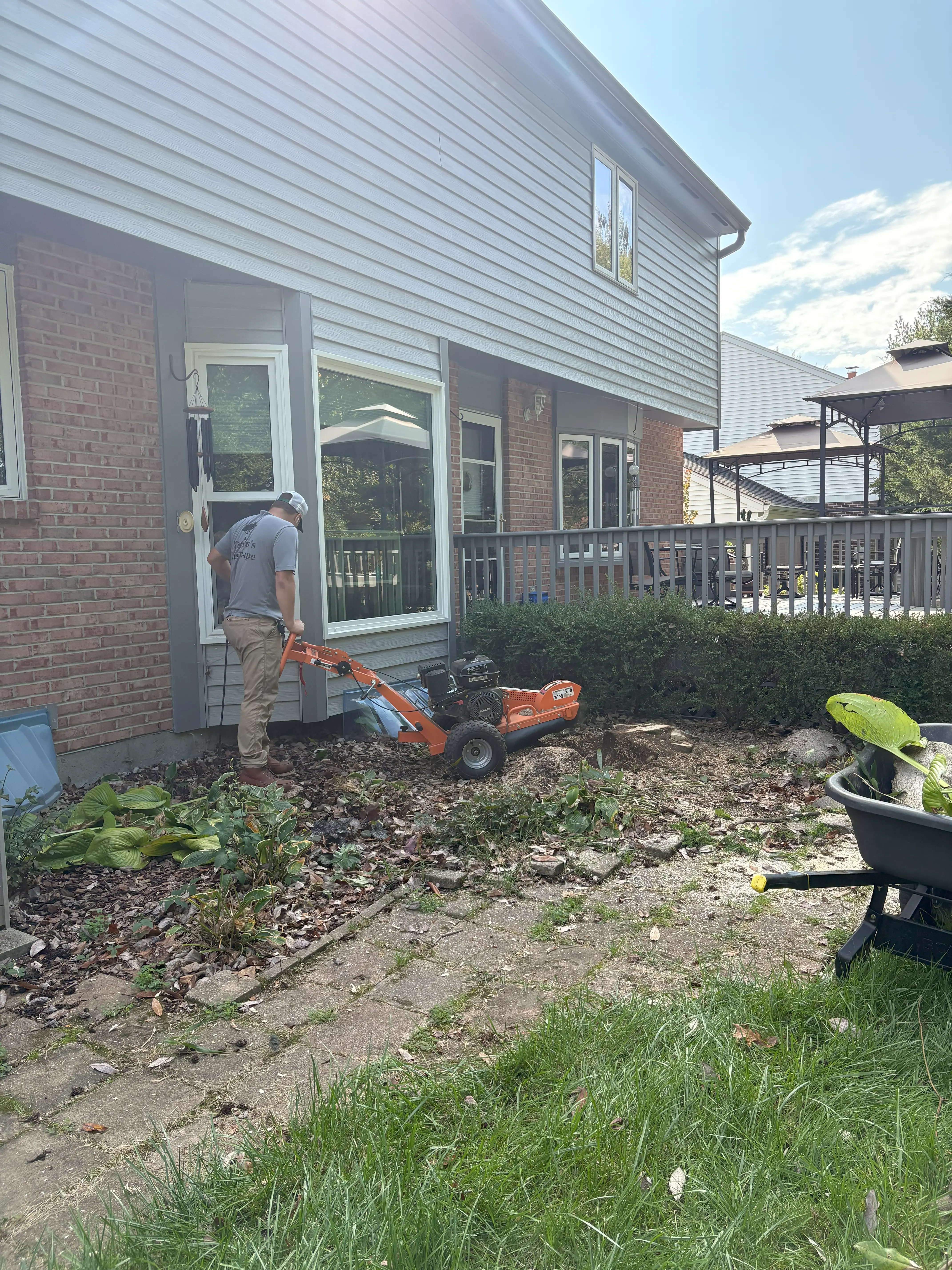 Completed stump removal