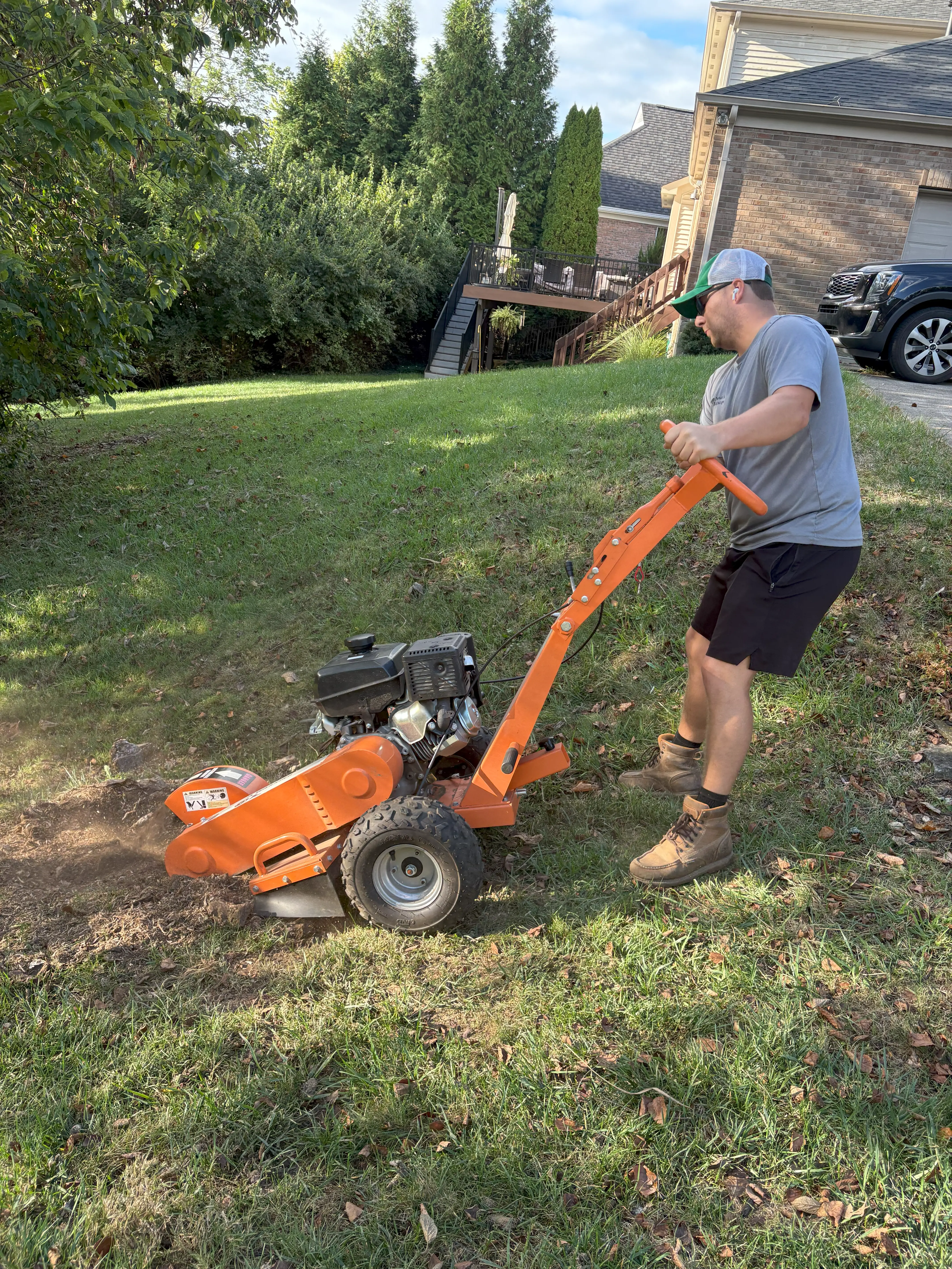 Stump grinding and tree removal